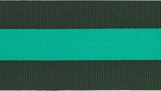 Rico Design Paper Poetry Webband Duo Streifen in Grün aus Polyester - Bild 1