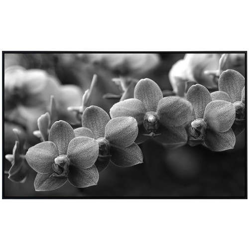 papermoon EcoHeat Infrarotheizung Blumen Schwarz Weiss mit Matt-Effekt und App-Steuerung - Bild 2