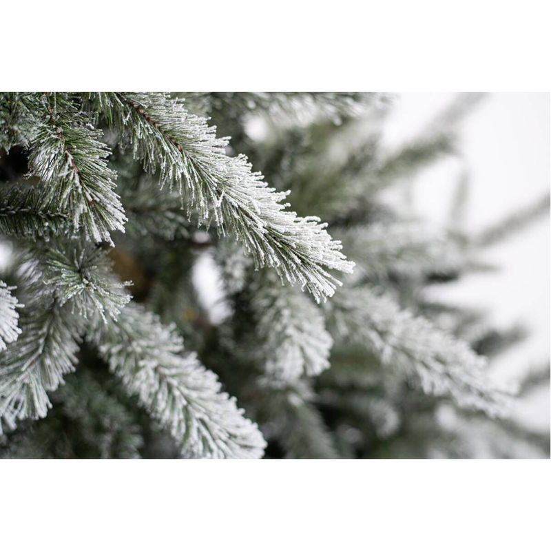 Evergreen Weihnachtsbaum Sherwood Fichte in Grün und Weiß, B/H: 114 x 180 cm - Bild 3