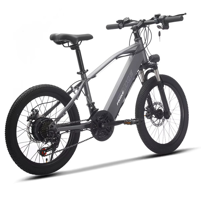 FRIKE Elektrisches Mountainbike Kinder, mit Licht - Bild 2