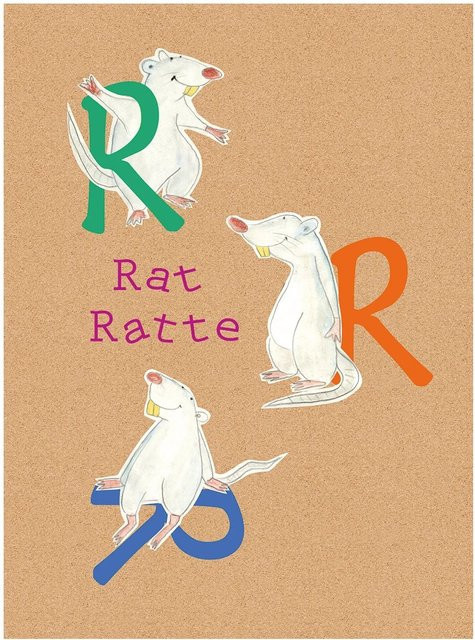 Komar Wandbild ABC Animal auf Fotopapier, Multicolor, Breite: 40 cm, Höhe: 50 cm - Bild 1