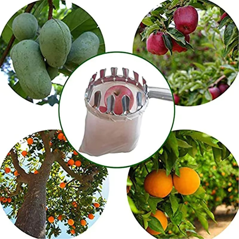 Obstpflücker mit Fang-Sammelbeutel für große Höhen zur Ernte von Jujube, Walnuss und Kaki - Bild 5