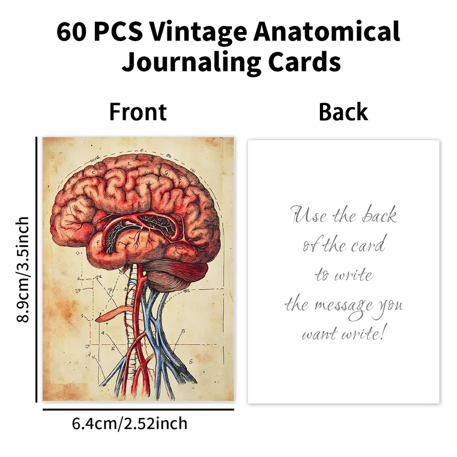 60 Stück Vintage Anatomische Journaling-Postkarten aus Papier in Mehrfarbig für Scrapbooking und Biologie-Collagen - Bild 4