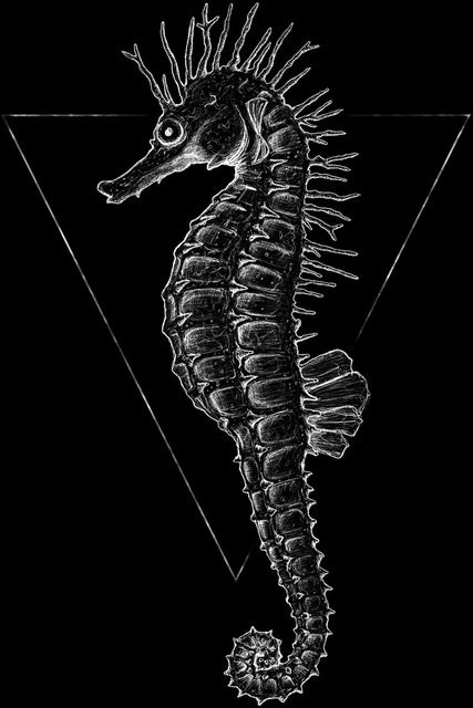 Komar Wandbild Sea Horse in Schwarz, B: 30 cm, H: 40 cm - Bild 1
