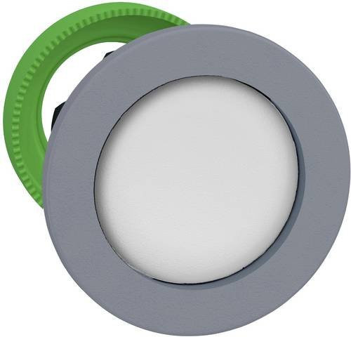 Schneider Electric ZB5FACUST04 Drucktaster-Frontelement bündig in Grau aus Kunststoff - Bild 1