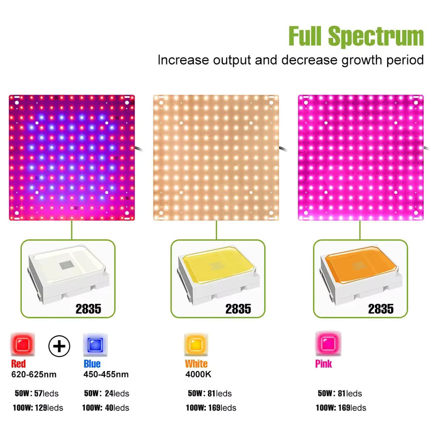 200W Vollspektrum LED Quantum Board Pflanze Wachsen Licht für Gewächshaus und Zelt - Bild 2