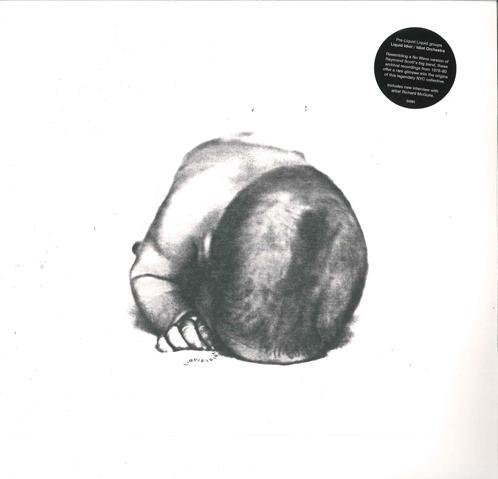 Liquid Idiot / Idiot Orchestra, Vinyl/LP - Bild 1