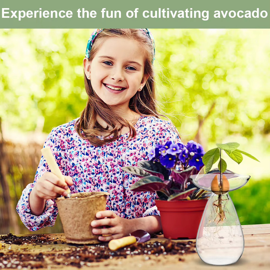 Mojoyce Avocado-Samen-Startervase aus Glas, transparente Hydrokulturvase für Avocado-Bäume und Pflanzen - Bild 4