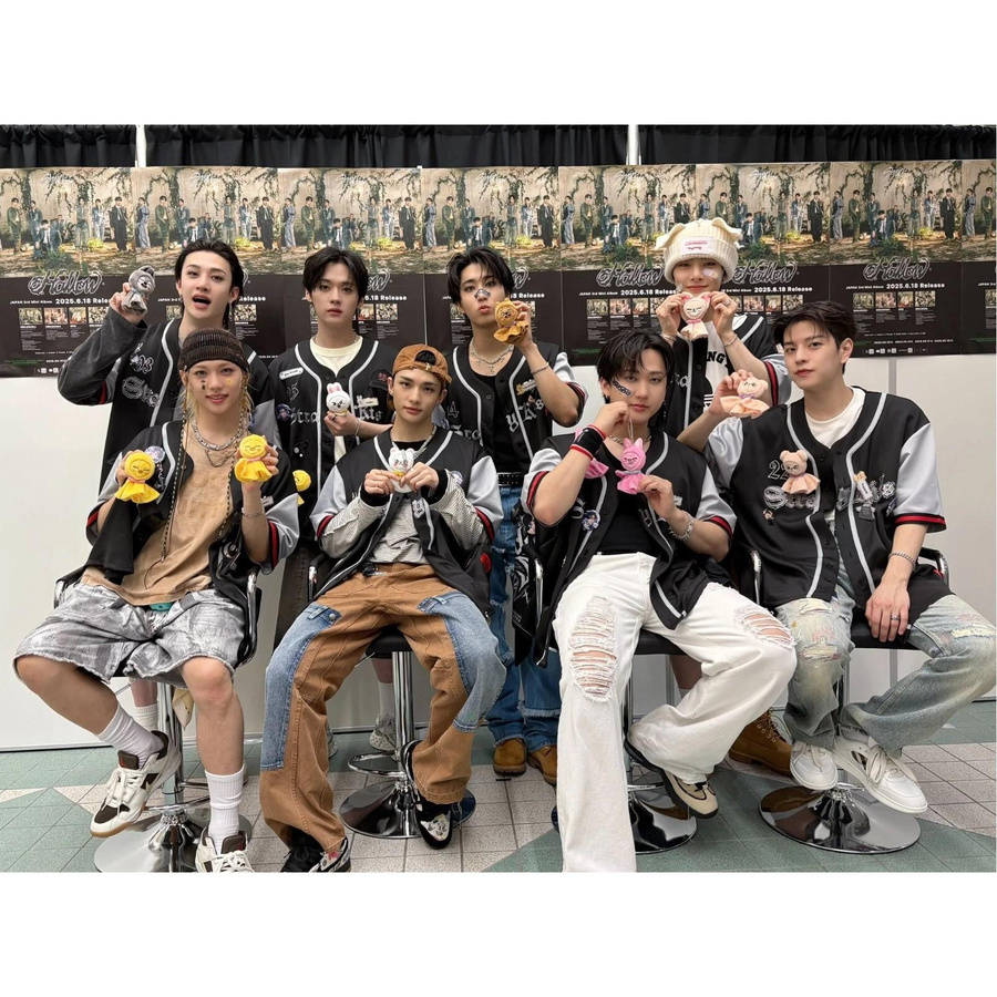 Stray Kids SKZOO Wolf Chan Stofftier - Bild 4