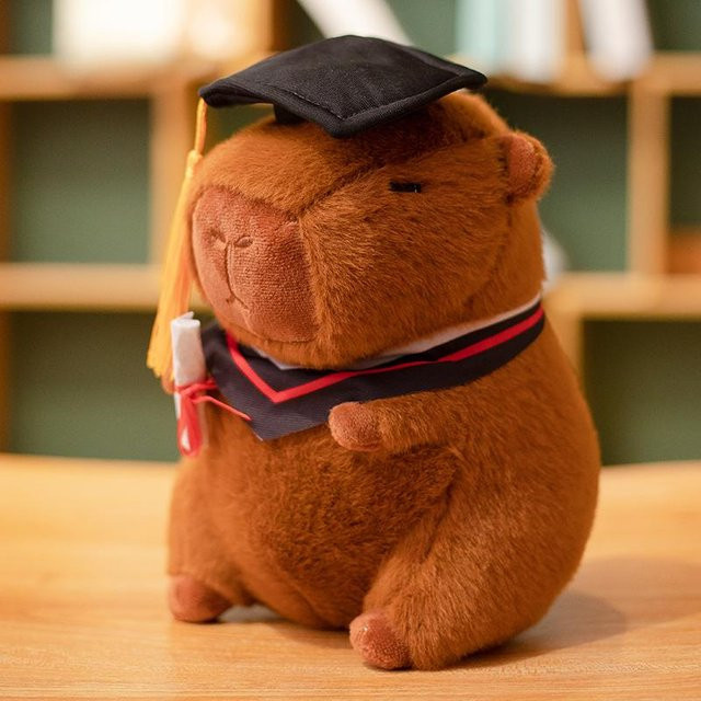 Binchi Fitness Capybara Abschlusskappe Plüschtier, ab 14 Jahren - Bild 1
