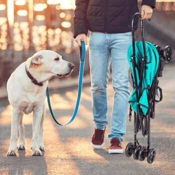 nobleza Haustierwagen für Hunde und Katzen in Grün mit schwarzem Gestell, Breite: 42,0 cm, Tiefe: 42,0 cm, Höhe: 94,0 cm - Bild 3