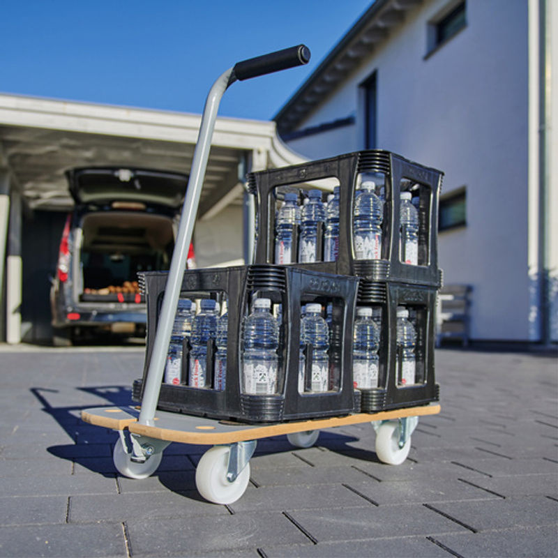 WAGNER SYSTEM Transporthilfe STAR CARRIER ECO MM, grau, B/H: 39,0 x 13,5 cm, max. Tragfähigkeit: 200 kg - Bild 2