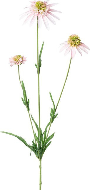Kunstblume Sonnenhut von GASPER in Pink, Höhe: 65,0 cm - Bild 1