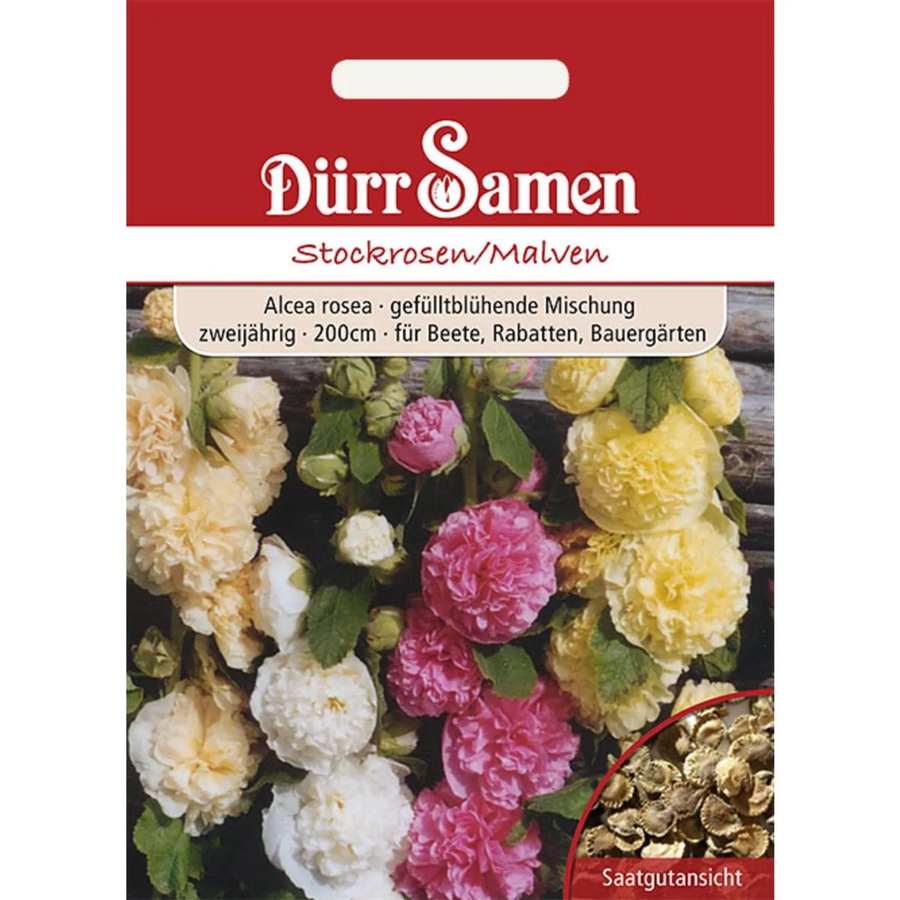 Dürr Stockrosen Malven Saatgut Zweijährig für Beete und Rabatten - Bild 2