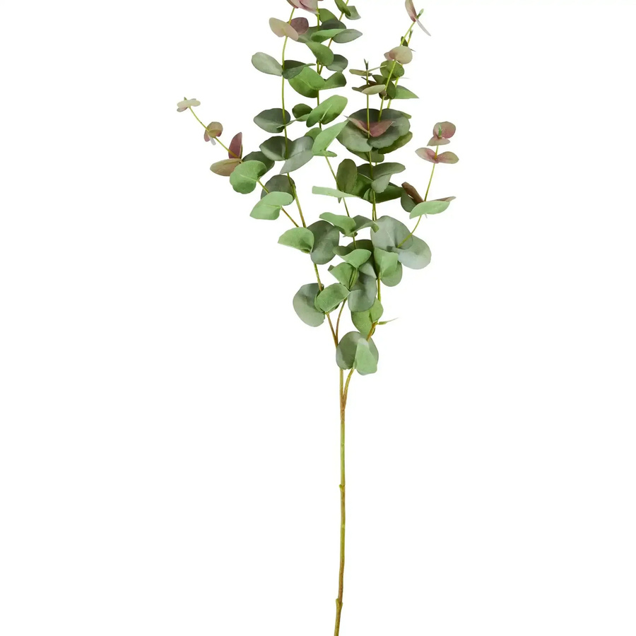 House Doctor Künstlicher Eucalyptus-Zweig in Grün oder Pink, Höhe: 36 cm, Breite: 12 cm, Tiefe: 12 cm - Bild 1