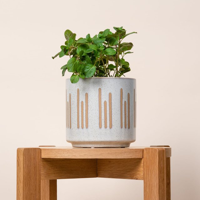 Keramik Übertopf BLUME2000 Streifen Design in Sand und Beige, Durchmesser: 15 cm - Bild 1