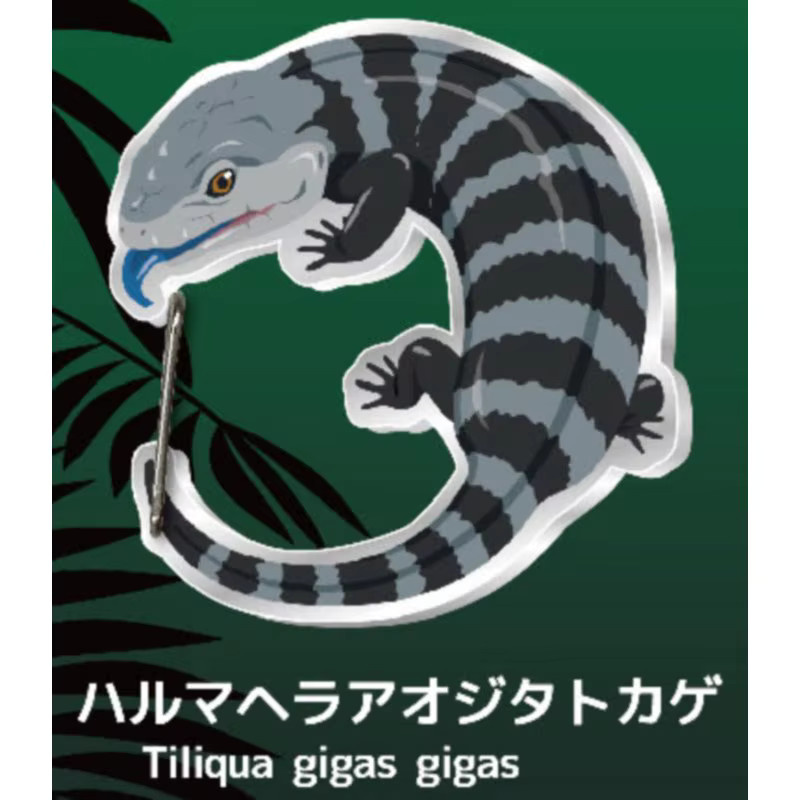 Bandai Kawaii Gecko-Liebhaber Karabiner Gashapon Kapselspielzeug, Modell Geschenkfiguren, ab 14 Jahre - Bild 2