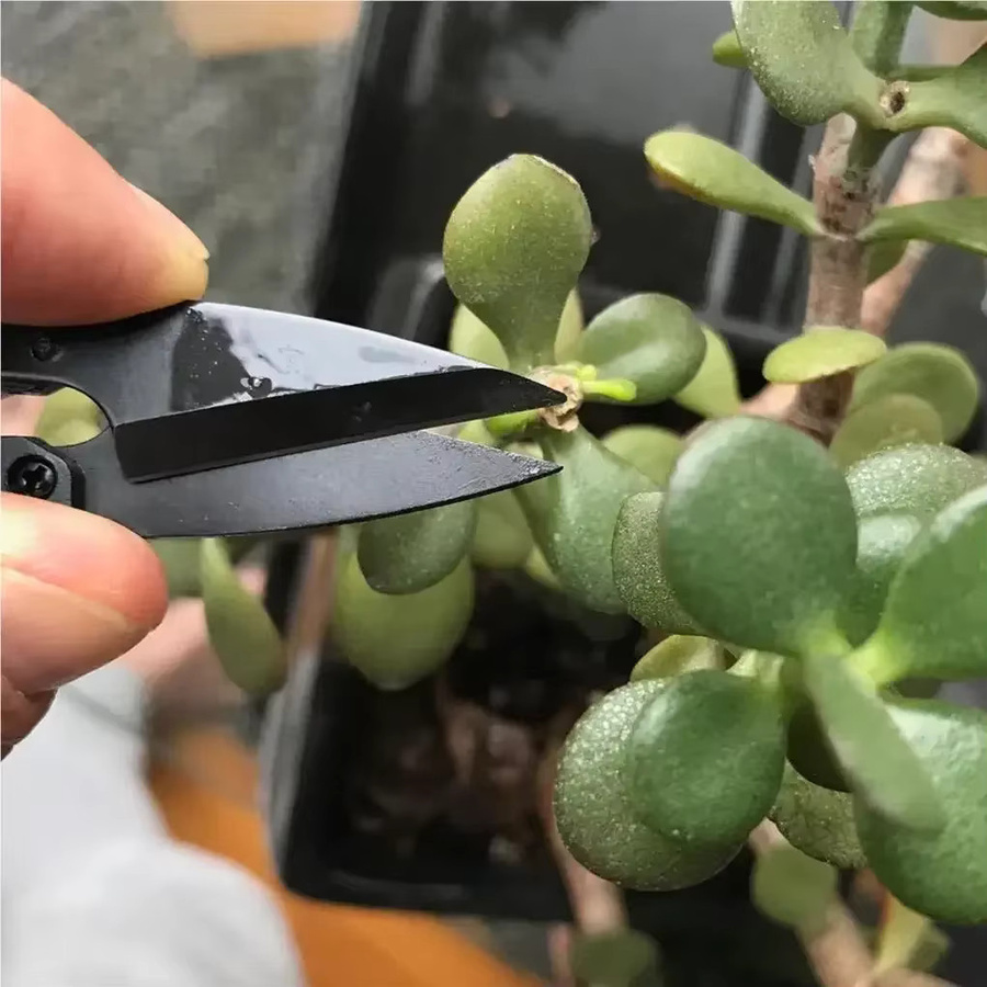 3er-Set Multifunktionale Mini-Gartenschere aus geschmiedetem Stahl in Schwarz für Bonsai, Blumen und Pflanzenpflege - Bild 5