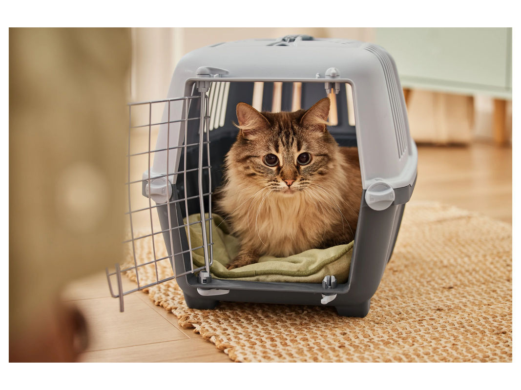 ZOOFARI Katzentoilette und Transportbox aus Kunststoff in Grau - Bild 2