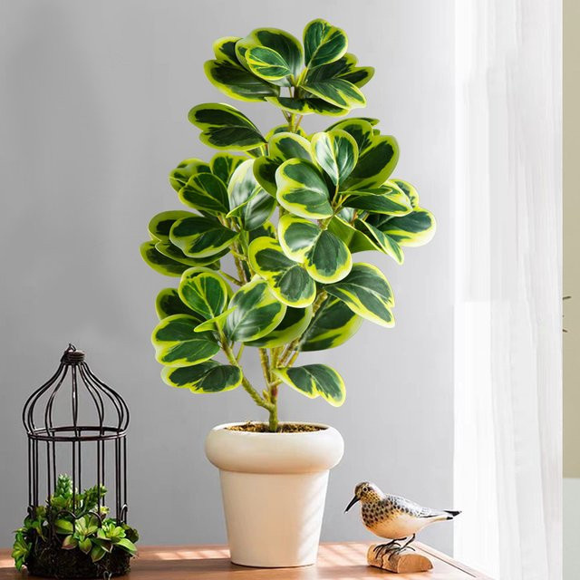 Künstlicher Herzblatt-Ficus-Baum von Kmitang, grüne Banyan-Zweige aus Kunststoff für die Dekoration in deinem Zuhause, Büro oder Garten, Höhe: 20–37 cm - Bild 1