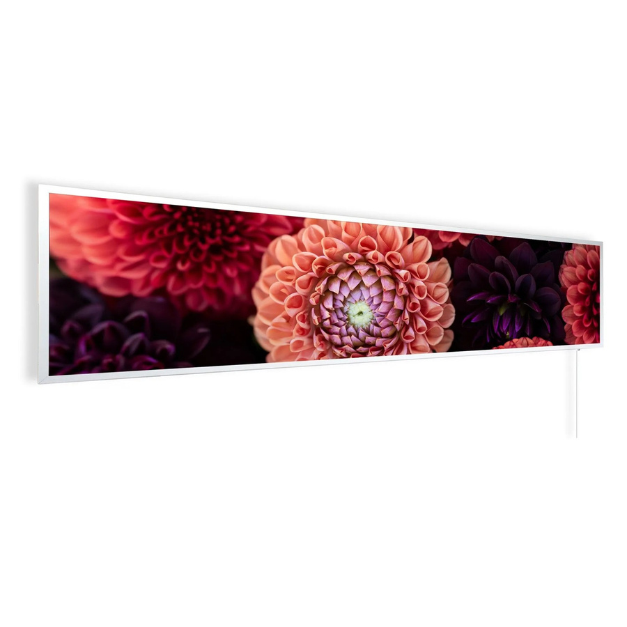 Könighaus Infrarotheizung Panorama Buena Vista Dahlien in Weiß, B: 120 cm, H: 30 cm, T: 30 cm - Bild 2