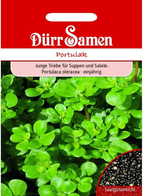 Dürr Portulak Saatgut für den Gemüsegarten - Bild 1