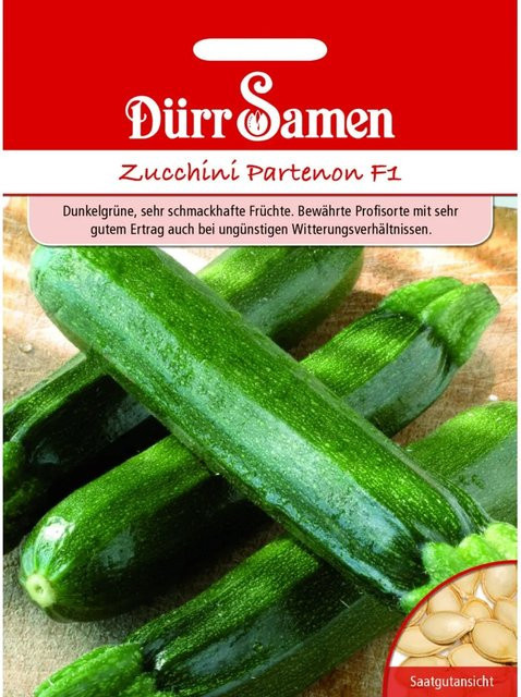 Dürr Zucchini Partenon F1 Saatgut - Bild 1