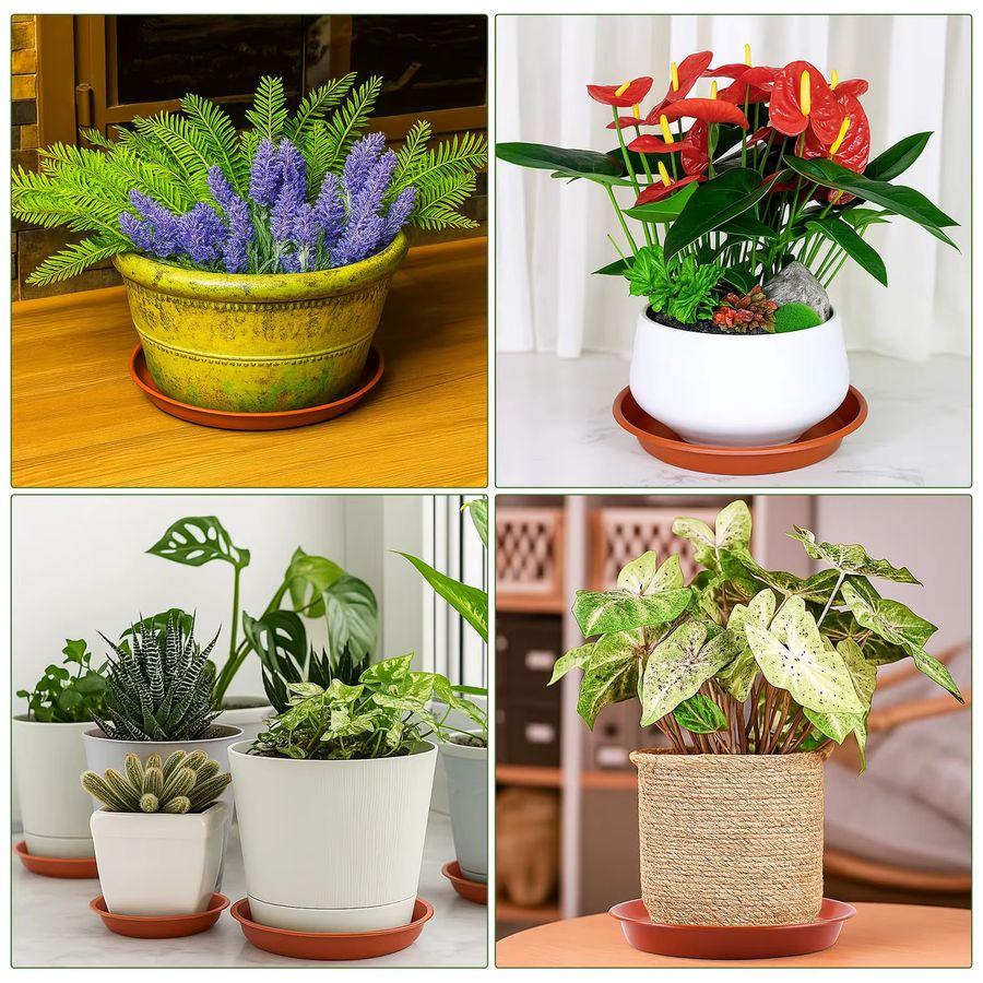 12er-Pack Blumentopf-Untertassen aus Kunststoff in 4 Größen, Tropfschalen für Garten und Pflanzen im Innen- und Außenbereich, Durchmesser: 18 cm, 22 cm, 24 cm und 26 cm - Bild 5