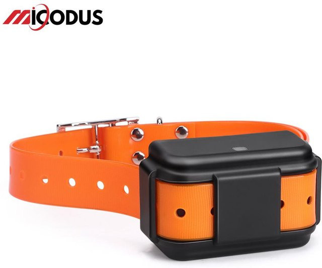 MiCODUS MP50G 4G GPS-Tracker für Hunde als Jagdhalsband mit Echtzeit-Tracking und Routenwiedergabe, IPX7 wasserdicht, 4000 mAh Akku, Schwarz - Bild 1