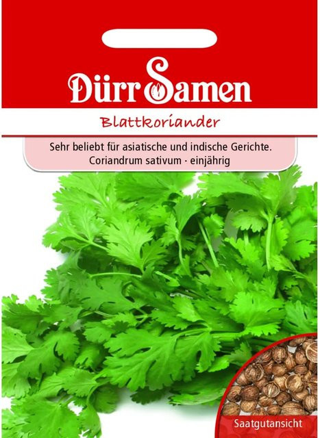 Dürr Blattkoriander Saatgut 100 g - Bild 1