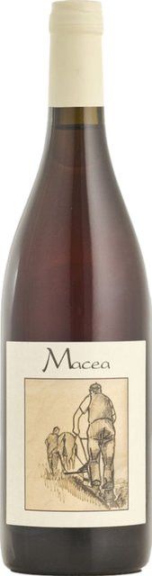 Macea Pinot Grigio Roséwein, Toskana, 2021, trocken, 0,75 l - Bild 1