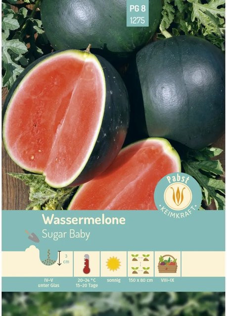Pabst Keimkraft Wassermelone Sugar Baby Saatgut für Früh & Kleinfrüchtig - Bild 1