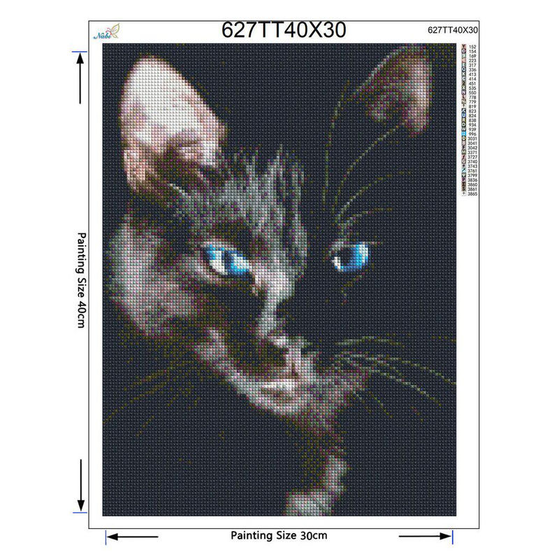 FIYO Diamond Painting Set Mysteriöse Schwarze Katze Weihnachten Dekoration B/H: 20 x 30 cm - Bild 2