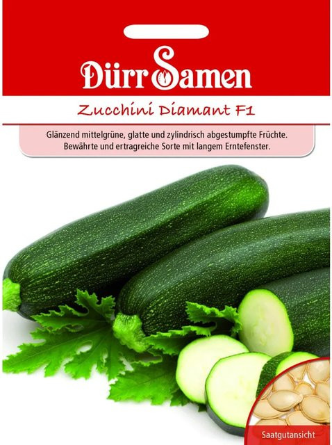 Dürr Zucchini Diamant F1 Saatgut - Bild 1