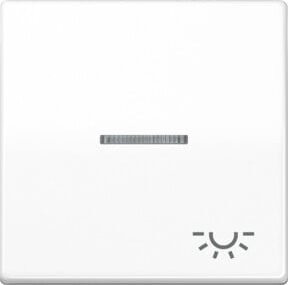 Jung Elektroschalter AS 591 KO5L WW in Weiß - Bild 1