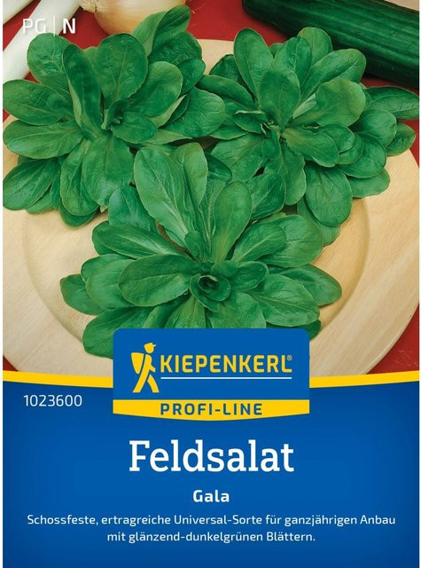 Kiepenkerl Feldsalat Gala Gemüsesaat ganzjährig für Frühbeet und Gewächshaus - Bild 1