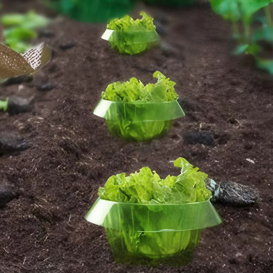 Wiederverwendbare Schneckenhalsbänder zum Pflanzenschutz von Planter - Bild 2