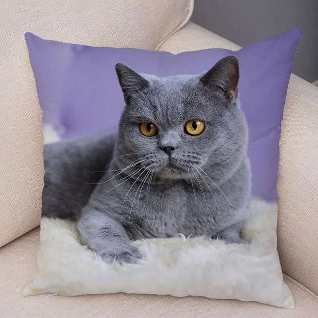 JMG Clothing Kissenhülle Blaue Britisch Kurzhaar mit Kurzplüsch-Print, B/T/H: 45 x 45 x 45 cm - Bild 1