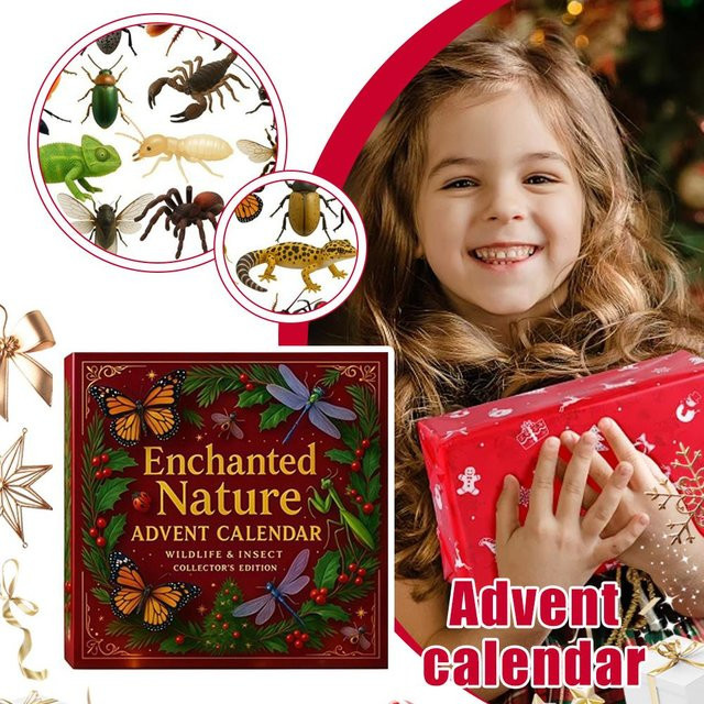 Natures Tricks Adventskalender, Insektenthema, Naturwissenschaftliche Bildung - Bild 1
