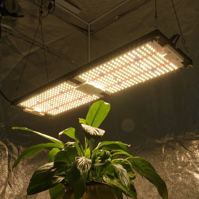 Kingbrite 240W Full Spectrum LED Pflanzenlampe mit LM301H und Epistar 660nm UV IR für dein Pflanzenwachstum - Bild 1