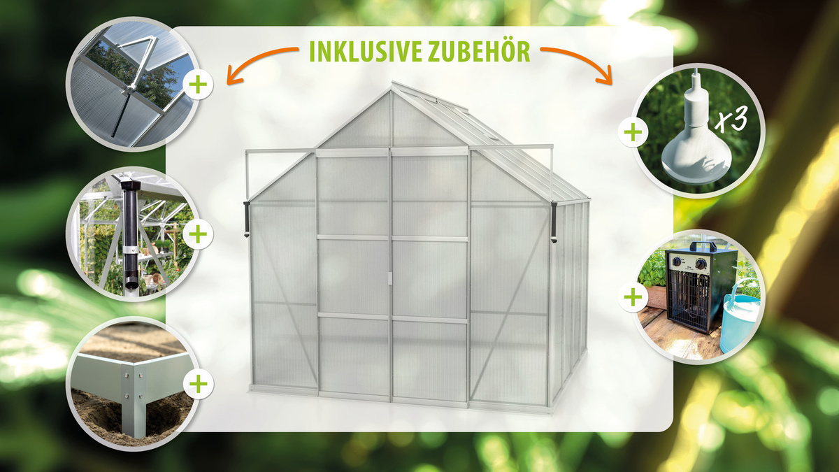 Vitavia Gewächshaus Jamaika mit Ready2Grow Zubehör-Set, silber, aluminium eloxiert, 6,7 m², B/T/H: 257 x 254 x 261 cm - Bild 2