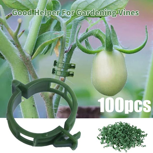 100 Stück Pflanzenbinder aus Kunststoff in Grün für Garten, Gemüse und Gewächshaus zur Unterstützung von Tomaten und Pfählen - Bild 1