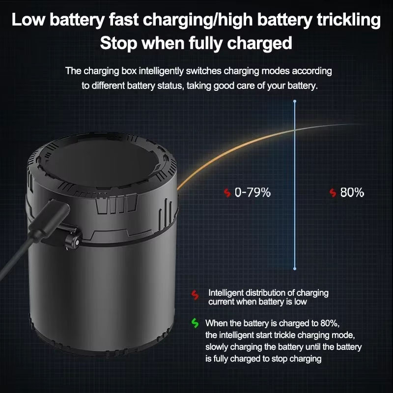Robinella Intelligentes 1,5 V AA AAA Batterieladegerät mit LED-Anzeige in Schwarz für Lithium-Ionen-Batterien - Bild 5