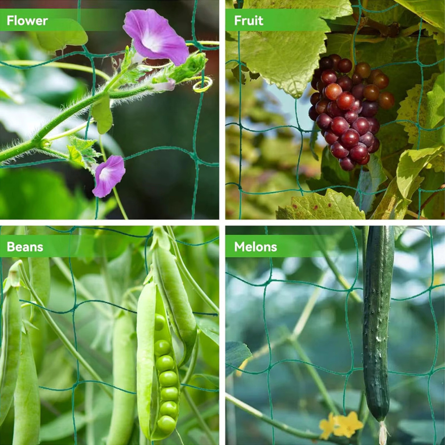 Grünes Garten-Kletternetz aus Polyester als Rankgitter für Blumen, Gemüse und Obst, B: 1,8 m, H: 1,8 m - Bild 2