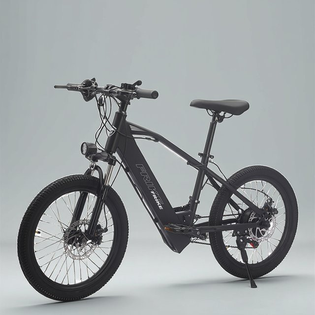 FRIKE Elektrisches Mountainbike Kinder, mit Licht - Bild 1