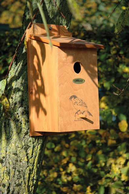 Nistkasten DOBAR aus Holz mit Siebdruckmotiv Haussperling in Braun, B/H/T: 18 x 35 x 17 cm - Bild 1