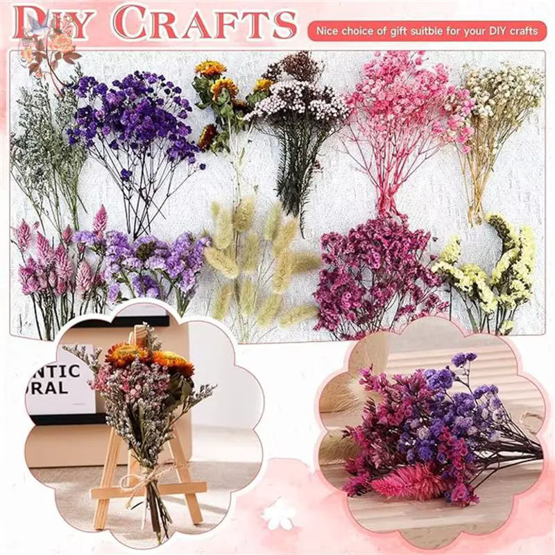 YN HI FLOWER Gemischtes Trockenblumen-Materialpaket in Box, Mehrfarbiges Mini-Bouquet für Hochzeitsdekoration und Boutonniere im Bohemian-Stil - Bild 5