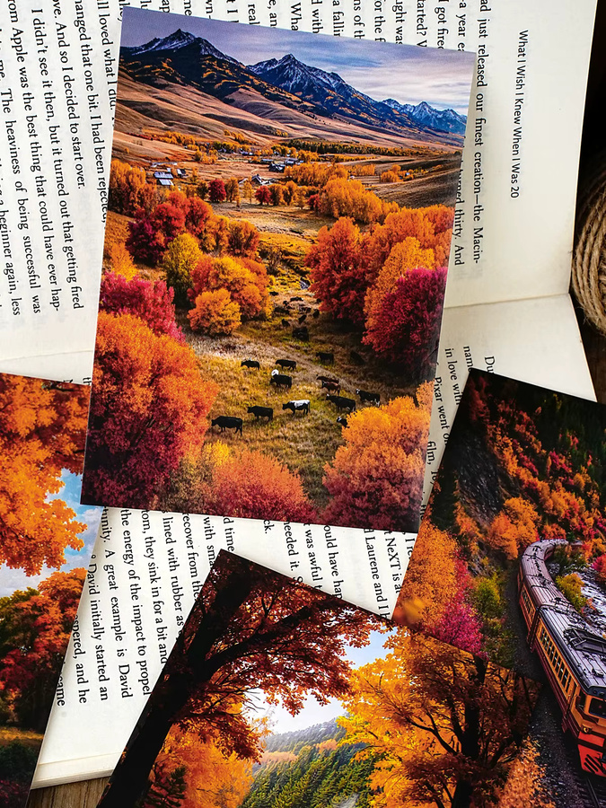 Etori Life Autumn Scenery Autumn Red Maple Street, Scrapbook, Bunt / Mehrfarbig - Bild 3