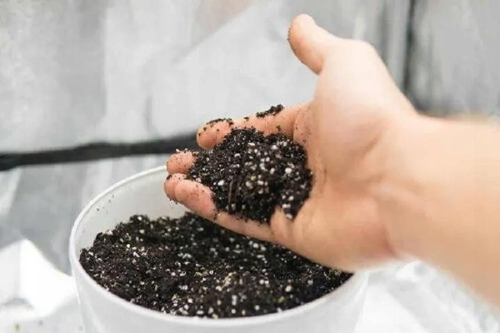 Gartenperlit Natürlicher Zusatz für Erde und Substrate Premium 40l - Bild 3