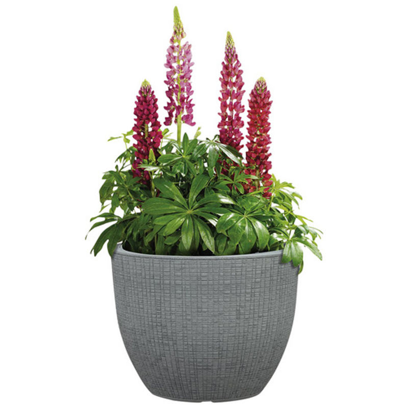 Scheurich Pflanzgefäß Barceo rund in Grau, Durchmesser: 29 cm, Höhe: 22 cm - Bild 3